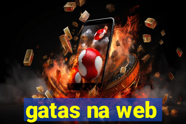 gatas na web